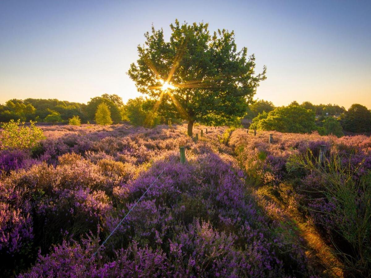 Hotel Landal Gooise Heide Huizen Zewnętrze zdjęcie